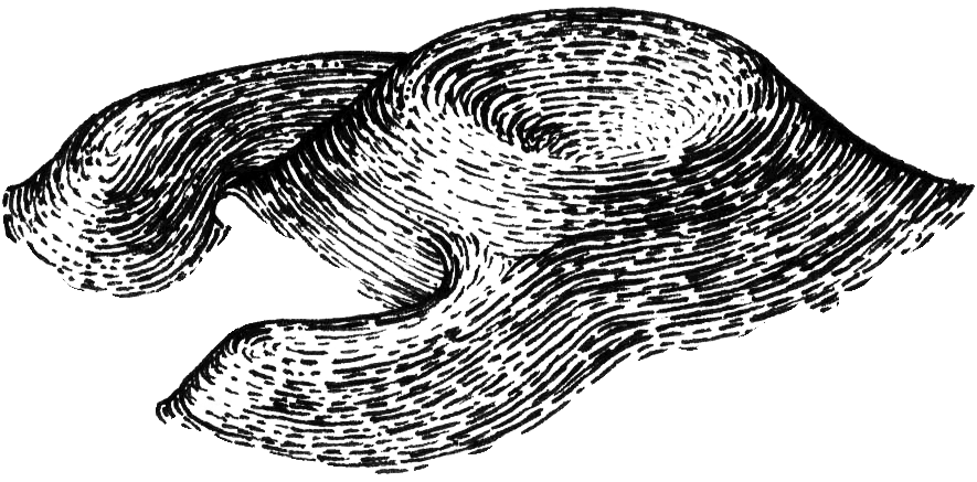 image_security