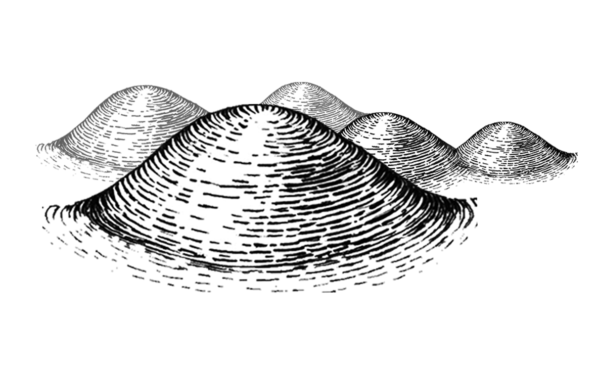 image_security