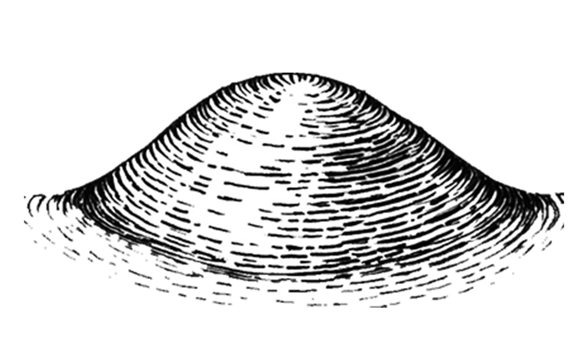 image_security