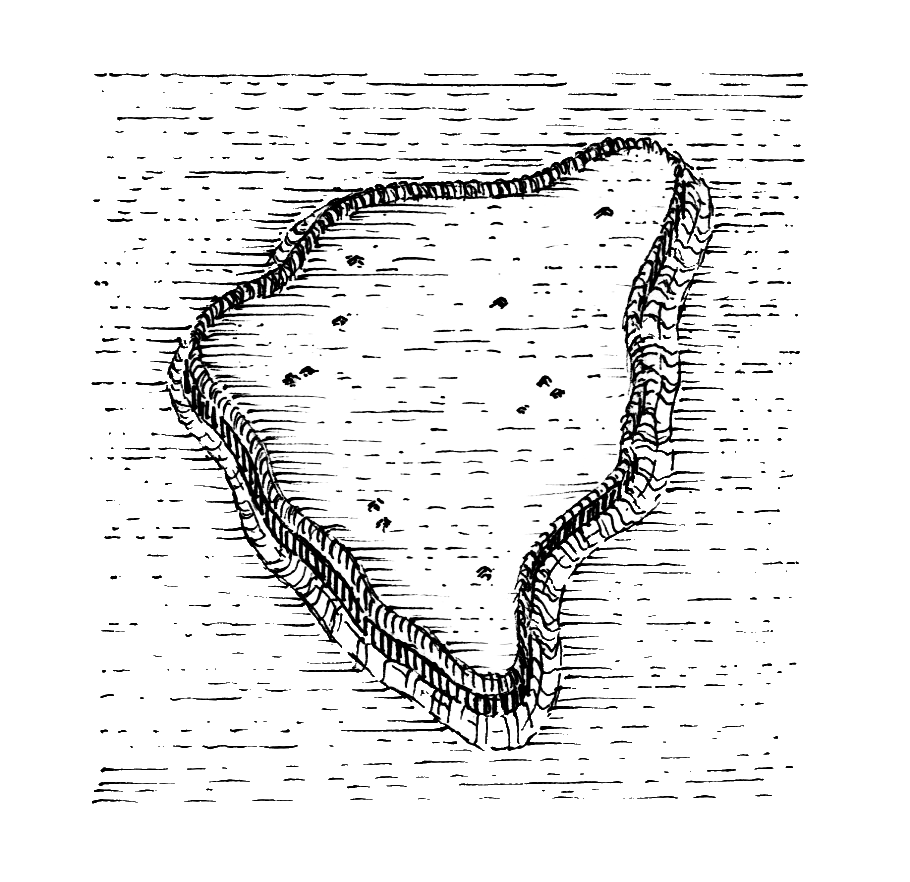 image_security
